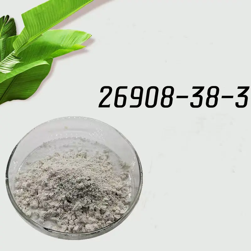 ভ্যানিলিল বিউটাইল ইথার মেকারস: প্রসাধনী OEM, পাইকারী বিক্রেতা এবং প্রস্তুতকারকদের জন্য প্রয়োজনীয় গাইড